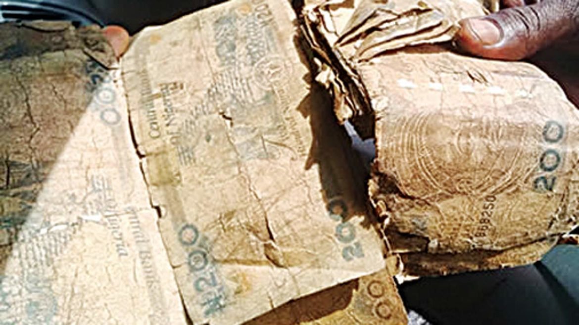 Naira rags,